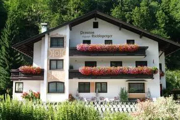 هتل آپارتمان Pension Riedlsperger