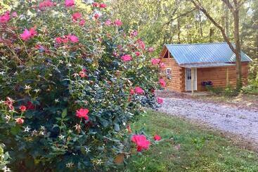 Hotell Kozy Haven Log Cabin Rentals