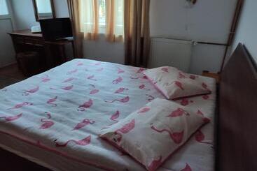 Pensión Vila Brazilor