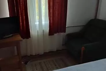 ペンション Vila Brazilor