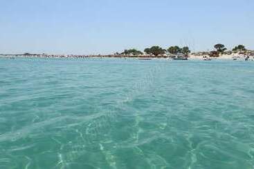 פנסיון Résidence Ben Houria