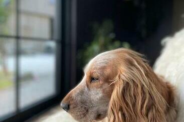 Bed and Breakfast De Wabisabiboerderij