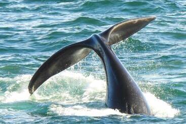 مبيت وإفطار 325onmain