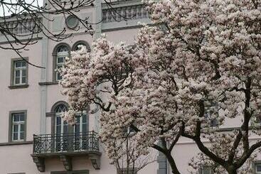 Pensjonat Rittergut Rottewitz