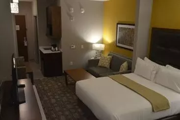 Holiday Inn Express Hotel & Suites Albany By Ihg