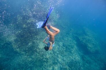 Zulu Surf Hotel Tamarindo