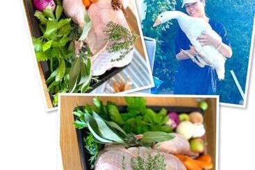 Hostel Gasthaus Dernedde