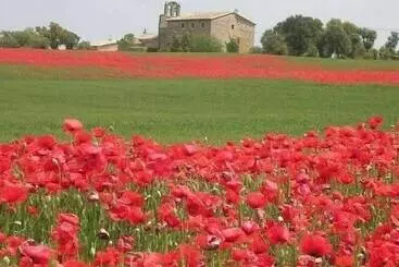 Casa Rural El Porxet De Sant Grau