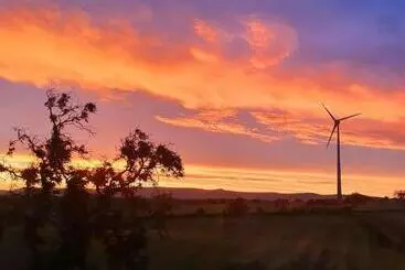 The Blue Horse Suite At The Grumpy Schnauzer B&b Private Hot Tub, Gym, Breakfast, Stunning!