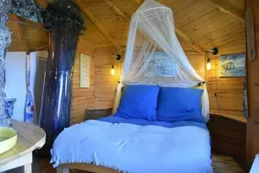 Bed and Breakfast Sherwood Tree