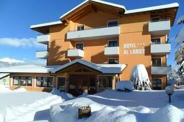 Отель & Appartamenti Al Larice