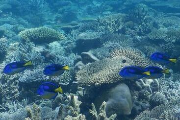 پانسیون Villa C Est La Vie