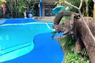 هتل Elephant Springs