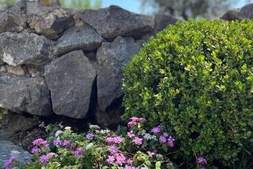 B&b Residenza Vittoria