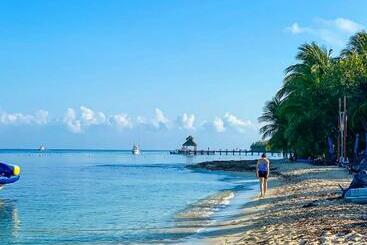 هتل Maia Suites Cozumel