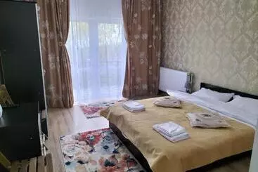 Pension Conacul Doamnei Nucșoara
