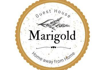 بنسيون Marigold