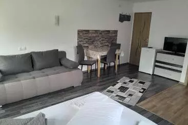 Bed and Breakfast Apartamente Ambrus E Studio 21 Praid