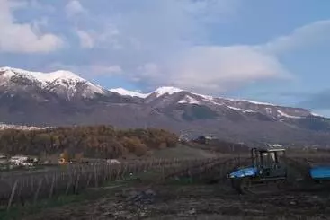 アパートホテル Vigna Al Parco