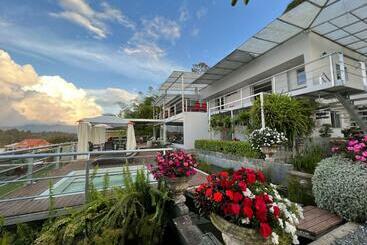 هتل Bania Travels