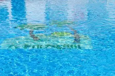 Turista apartmanok Apartamentos El Palmeral