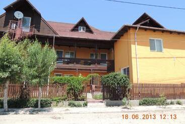 Pensiunea Iulia Sulina