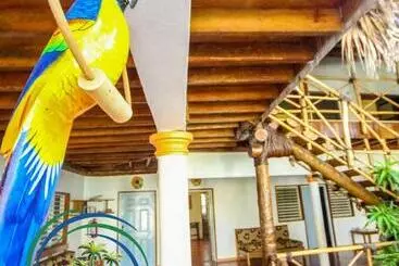 تختخواب و صبحانه El Jardin Del Coco