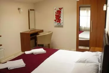 בית מלון כפרי Pensiunea Andy