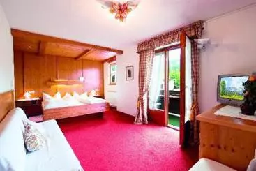 Gasthof-hotelpension Lanzenhof