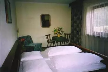 Отель Pension Gschwentner