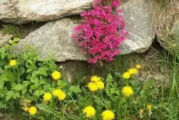 コテージ Schuistlhof