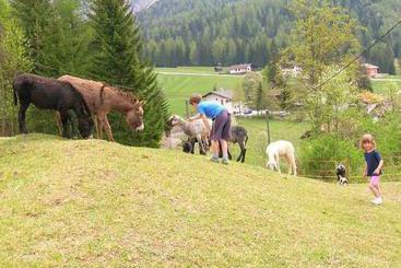 茅舍 Bauernhof Trueferhof