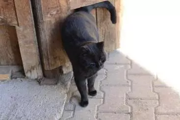 Nocleg ze śniadaniem Pension Gula