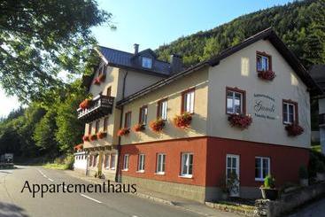 Отель Gasthof & Appartementhaus Meyer