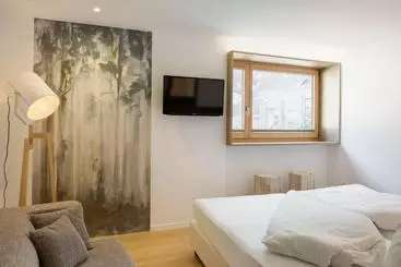 Отель Schwarzer Widder