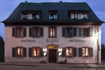 펜션 Das Blümchen