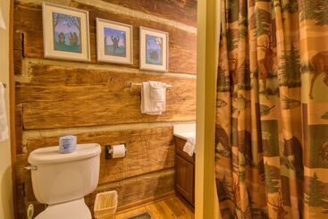 별장 Bear Cabin #462