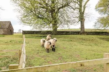 Mökkimajoitus Slade House