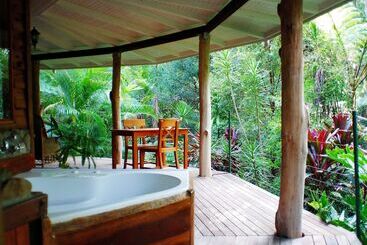 Отель Wollumbin Palms Rainforest Retreat