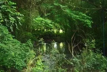 Hotel Coati Lodge