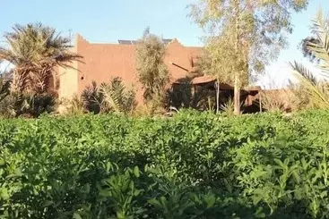 Pension Dar Nkhal