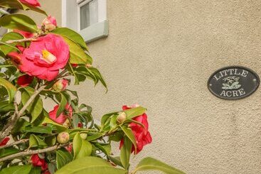 کلبه Little Acre