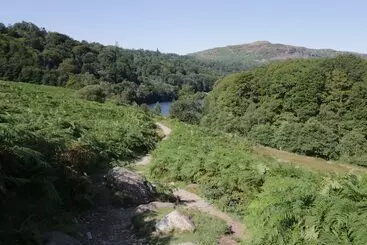 コテージ Swallowdale