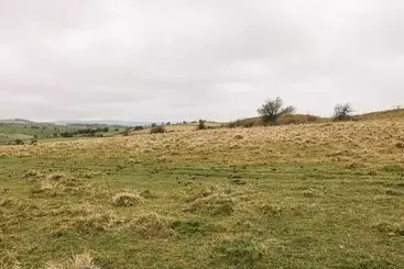 Cottage Lees Farm