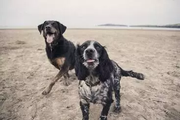 Mökkimajoitus Lloft Gwair   Hayloft