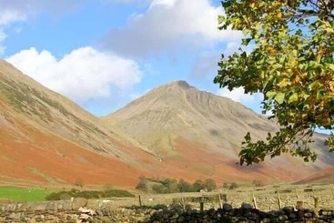 קוטג'' Raceside Farm