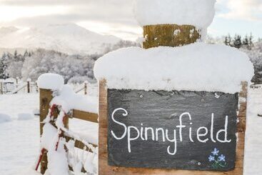 קוטג'' Spinnyfield