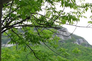 فندق على الطريق Chimney Rock Inn