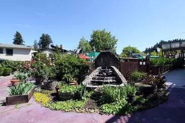 The Woods Hotel   Gay Lgbtq Cabins