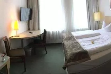 فندق Goldener Anker